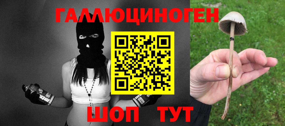 Псилоцибиновые грибы Psilocybine cubensis  Вход с VPN  Кимовск  как найти наркотики  Псилоцибиновые грибы прущие грибы 